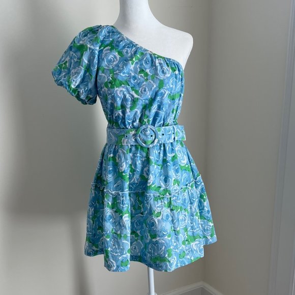 Show Me Your MuMu Dresses & Skirts - Show Me Your MuMu one shoulder Deluca dress DERBY